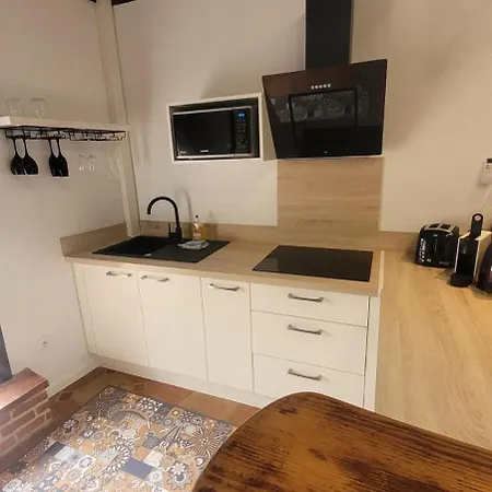 Apartmán De Charme 70m2, Jacuzzi Et Piscine Partagee Verfeil (Haute-Garonne)